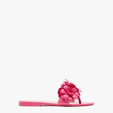 Women's Kate Spade Jaylee Slides Pink | HL9571304