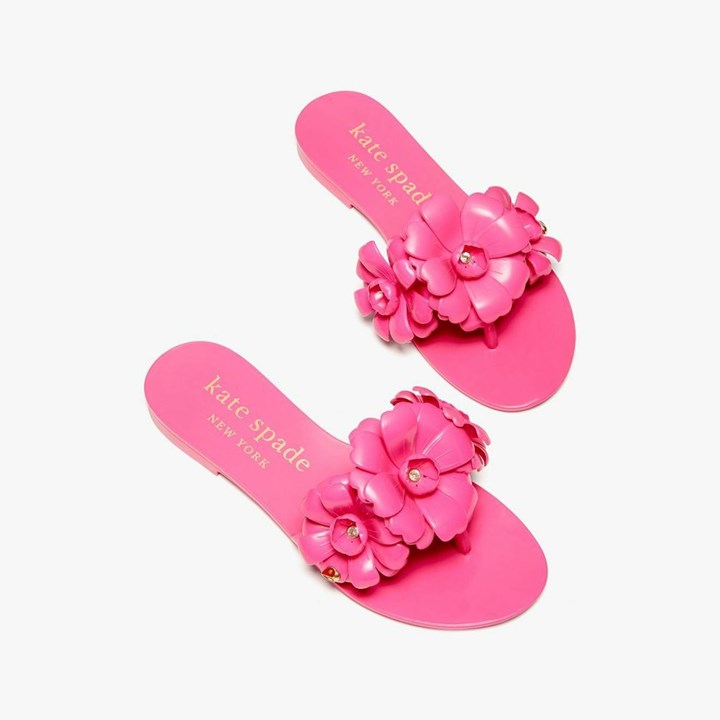 Women's Kate Spade Jaylee Slides Pink | HL9571304