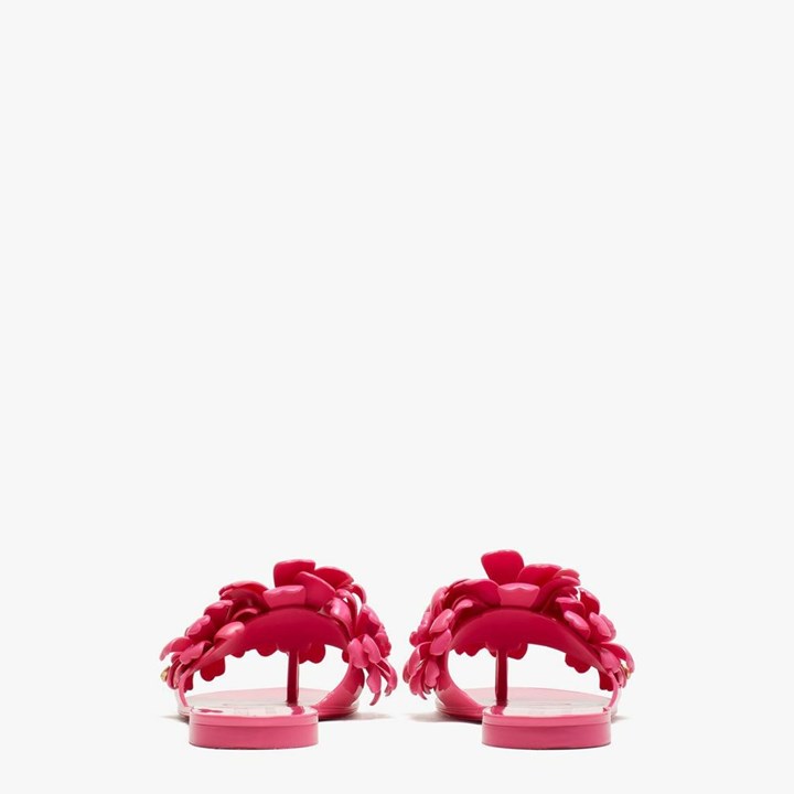 Women's Kate Spade Jaylee Slides Pink | HL9571304