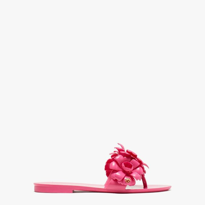 Women\'s Kate Spade Jaylee Slides Pink | HL9571304